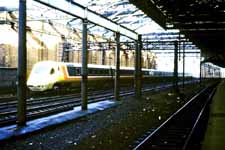 &copy; Andrew Beeley