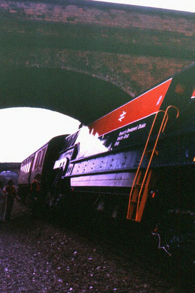 Laboratory 24 - 'TRESTROL' &copy; Kit Spackman