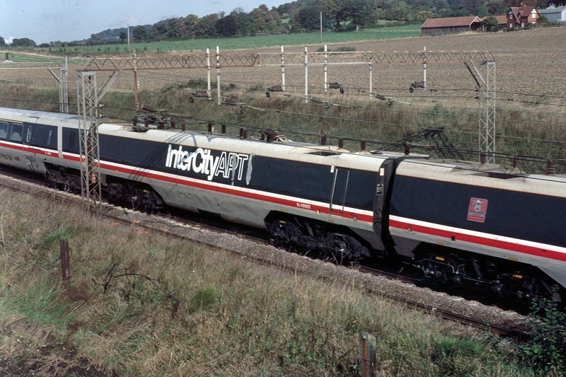 Cowroast 15 October 1982 &copy; M T Anderson