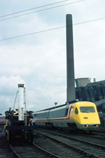 &copy; Roger Norfolk