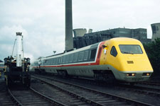 &copy; Roger Norfolk