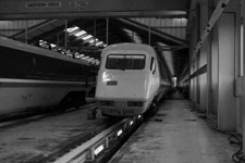 Shields 2 September 1979 &copy; Brian Daniels