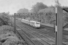 &copy; Frank Struben