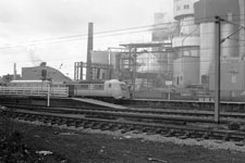 &copy; Peter Spilsbury