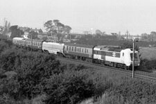 &copy; Peter Spilsbury