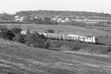 &copy; Peter Spilsbury