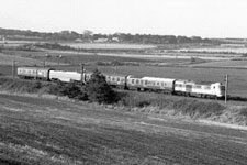 &copy; Peter Spilsbury