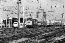 Polmadie 01.08.79 &copy; Ron Puntis