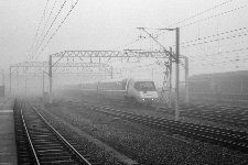 Crewe 16.11.81 &copy; Ron Puntis